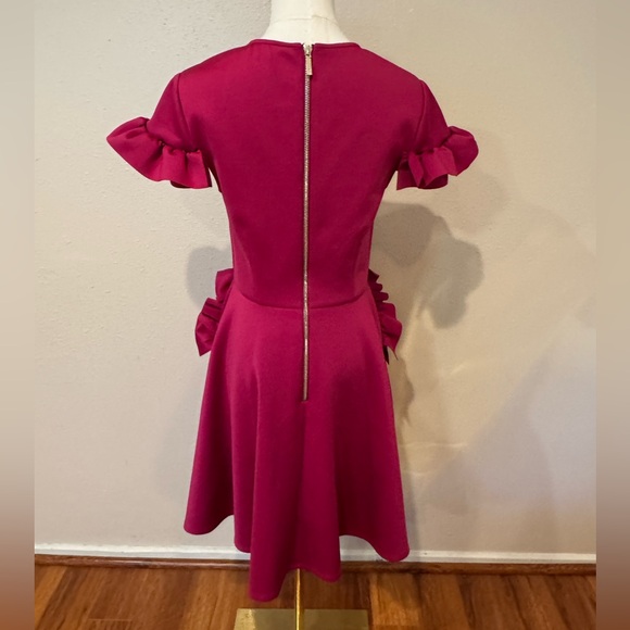 TED BAKER Ruffle Sleeve Mini Dress - Picture 5 of 15